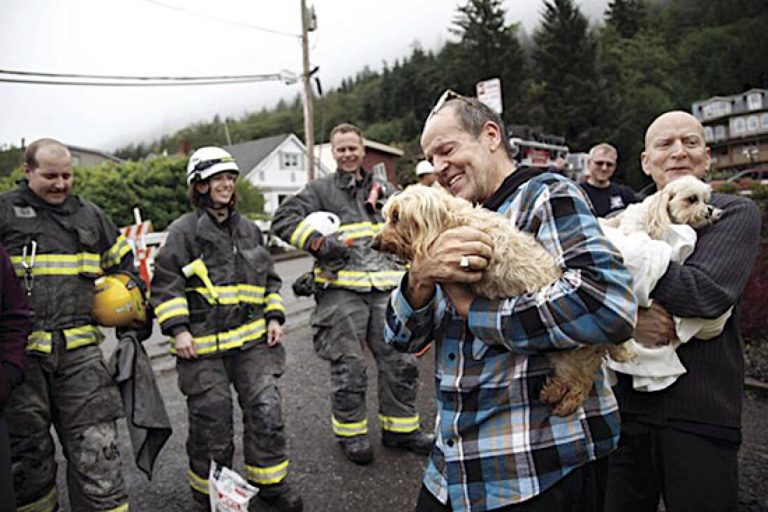 Homeless Pet Finds Firefighters in Time of Desperation