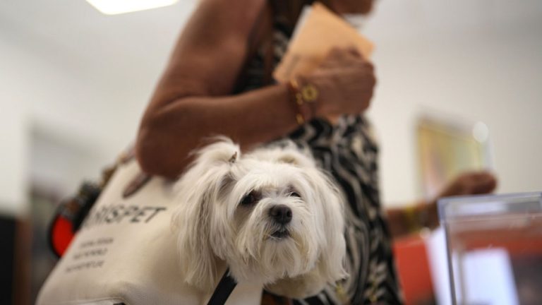 Spain’s first public pet cemetery opens with grief assist for owners