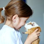 Hamsters Vs Guinea Pigs — Which Makes the Best Pet for Children?